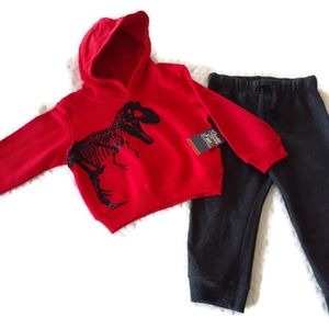 Toddler's  2piece dinosaur hoodie outfit
